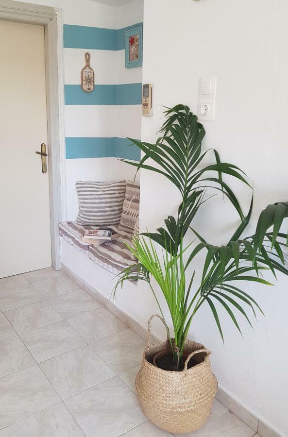 Ferienwohnung Mesogitonia House Káto Zákros Exterior foto